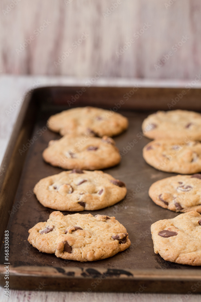 Homemade Chocolate Chip Cookies on a Baking Sheet Homemade Chocolate Chip Cookies on a Baking Sheet