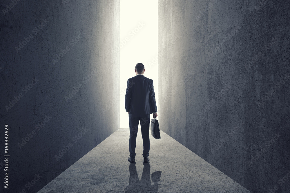 Fototapeta premium businessman in front of the light gate