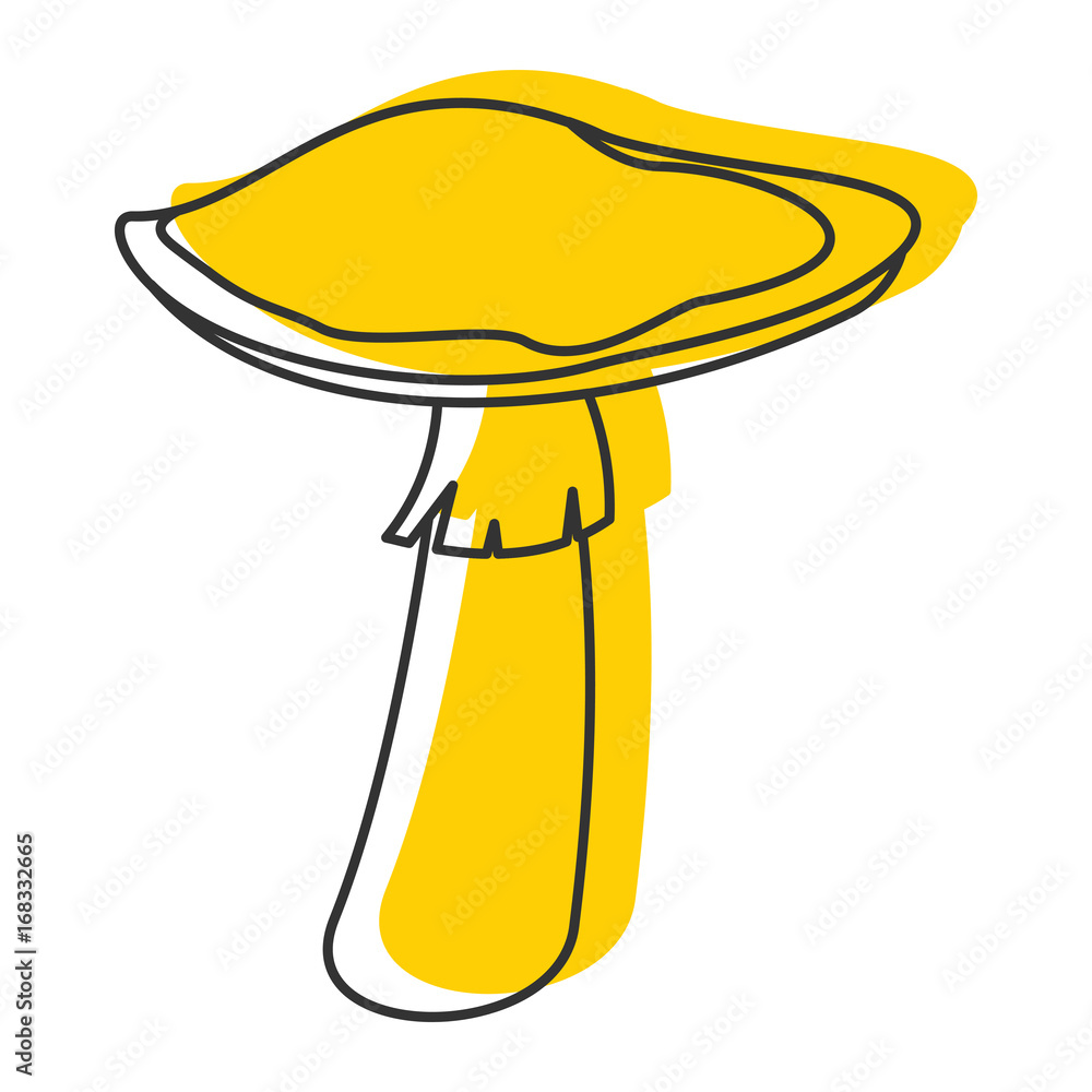 Russula mushroom icon vector illustration for design and web isolated on white background Russula mushroom icon vector illustration for design and web isolated on white background