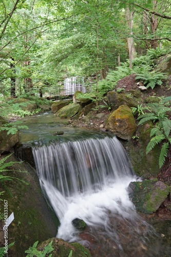 Fototapeta Naklejka Na Ścianę i Meble -  Flusslandschaft mit kleinen Wasserfällen in grüner Natur 
