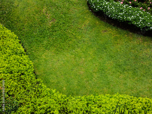 top view of green grass field plants and trees in the small garden