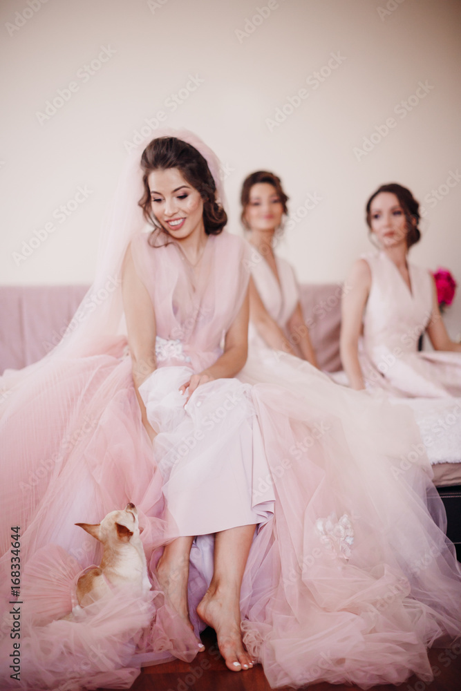 Naklejka premium White chihuahua sits beneath bride's legs