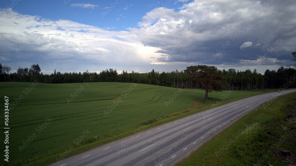 Field in Estonia