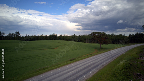Field in Estonia