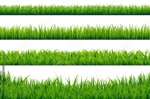 Green Grass Borders Set