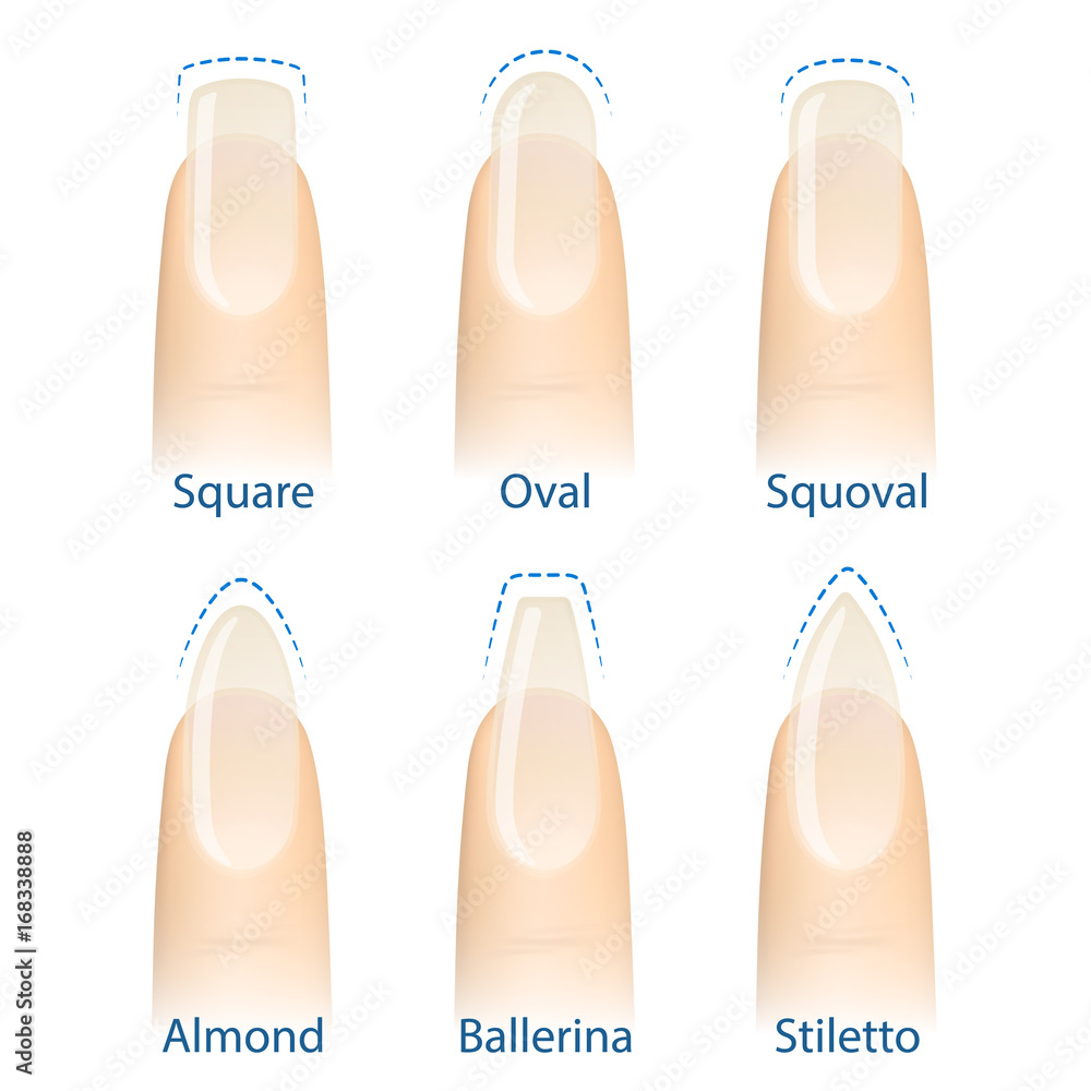 Nail manicure, set of nails shapes - oval, square, almond, stiletto,  ballerina squoval Vector Stock Vector | Adobe Stock