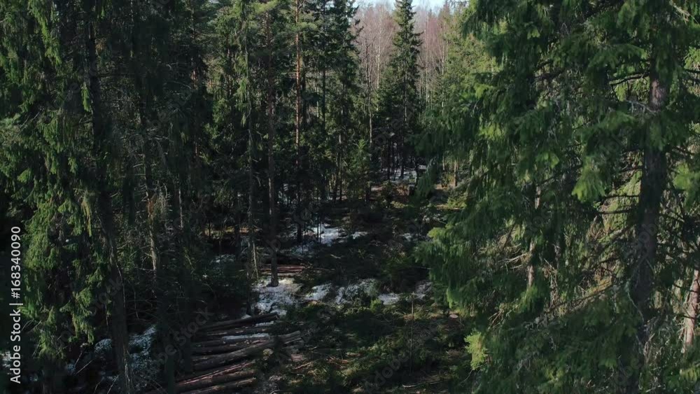 Top view logging machine making logging on a winter day. Process deforestation Top view logging machine making logging on a winter day. Process deforestation