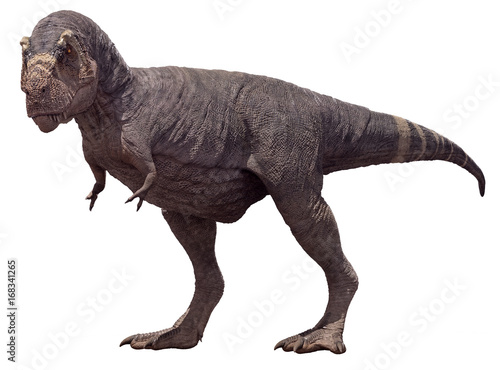 3D rendering of Tyrannosaurus Rex with no feathers, isolated on a white background. © Herschel Hoffmeyer