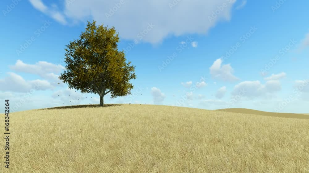 Single tree in autumn, falling leaves. Single tree in autumn, falling leaves.