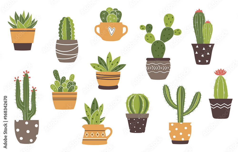 Obraz Wektor zestaw wyciągnąć rękę na białym tle kaktus i sukulenty. Śliczny zielony kaktus w doniczkach.