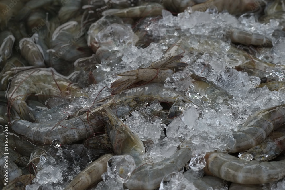 fresh shrimp in ice tray is waiting to be sold to customers in the market.