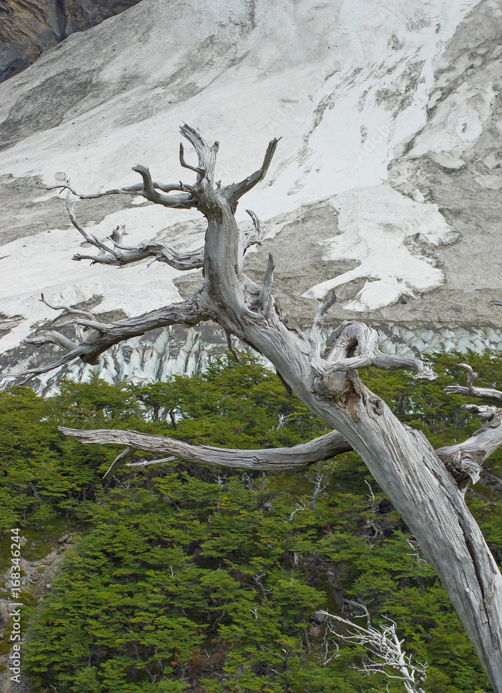 Torres del Paine, Chile, South America