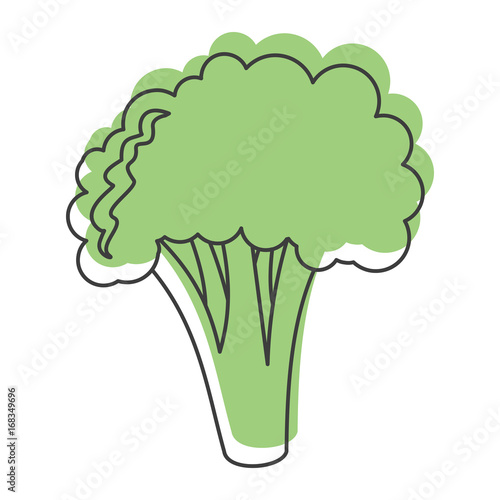 Green broccoli doodle icon vector illustration for design and web isolated on white