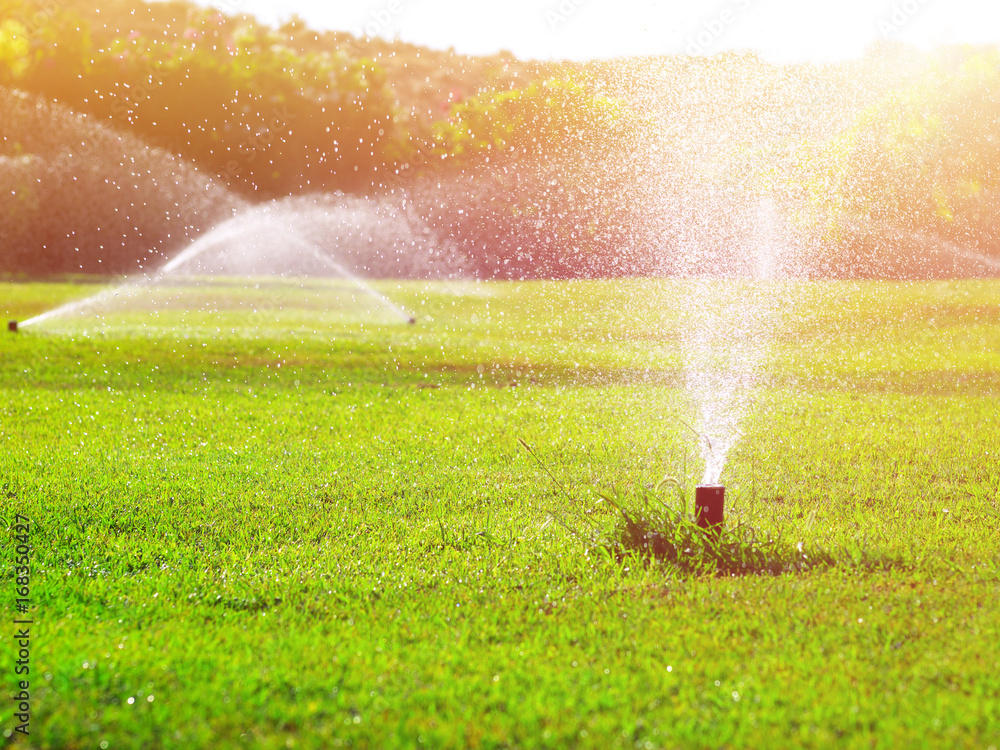 automatic lawn watering system irrigating grass, toned, sunlight effect - obrazy, fototapety, plakaty 