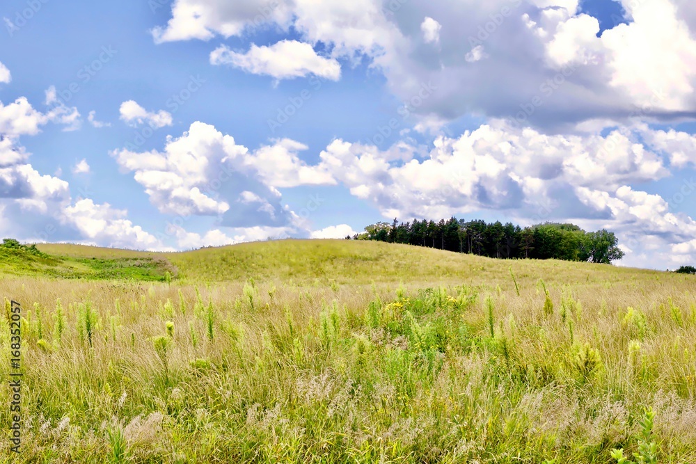 Fototapeta premium Green grassy field Minnesota rolling praire landscape