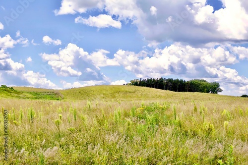 Green grassy field Minnesota rolling praire landscape