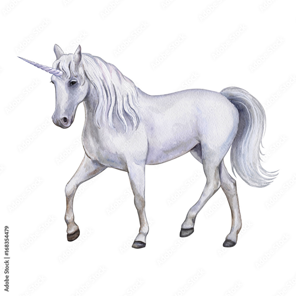 The white horse is a unicorn. Watercolor, illustration, image for print, poster, textile, clothing design