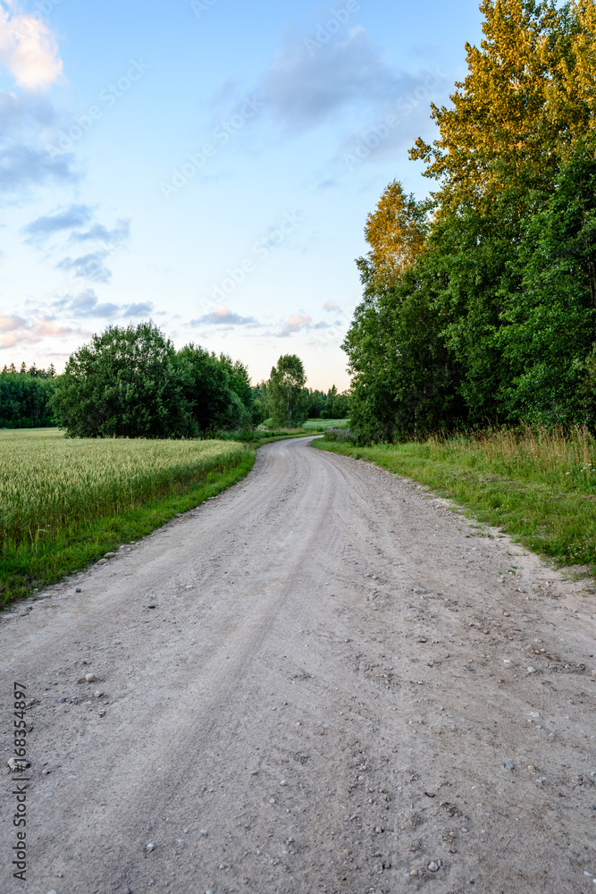 country road with sun rays in the morning