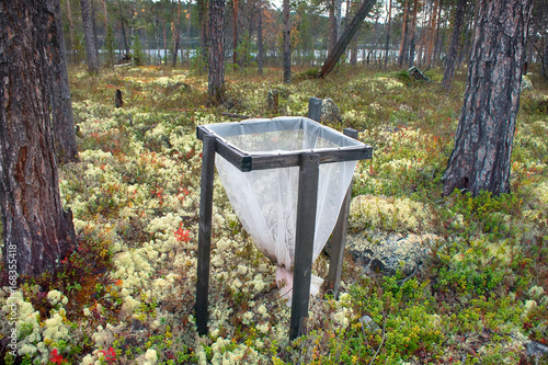 Litter traps, taiga, lichen pine forest photo