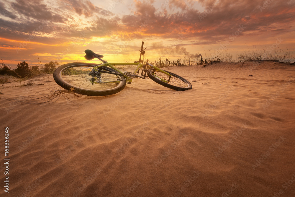 Fototapeta premium bicycle in the desert / yellow hot sunset late summer