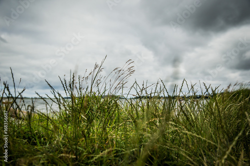 grass and stormy looking sky