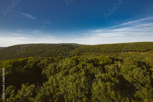 Landscape. Green forest and blue sky.