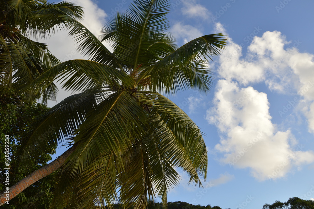 Obraz premium Plages de Seychelles