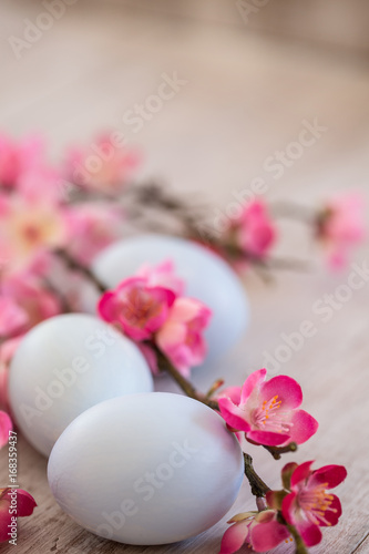 Blue Pastel Colored Easter Eggs and Cherry Blossoms on White Wood Background
