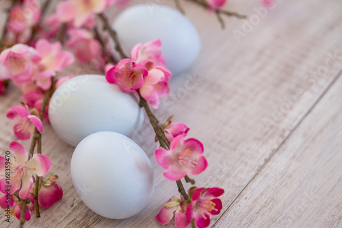 Cherry Blossom branches with three pastel blue colored Easter eggs © Carol