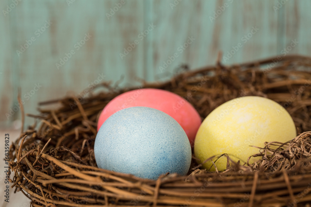 Close Up of Three Colorful Easter Eggs in a Nest Close Up of Three Colorful Easter Eggs in a Nest