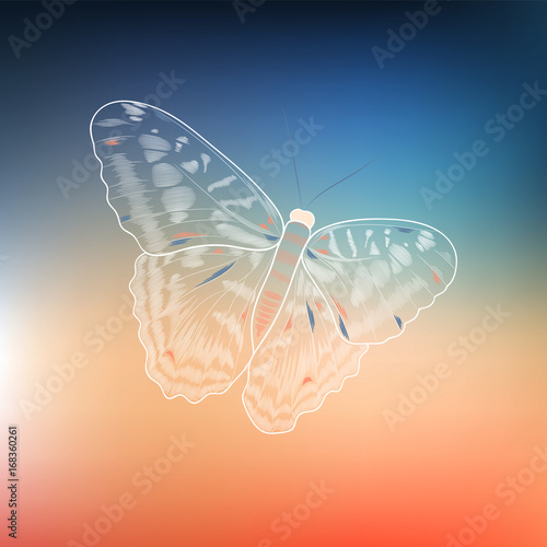 Hand-drawn beautiful tropical butterfly. Element for design. Vector illustration.