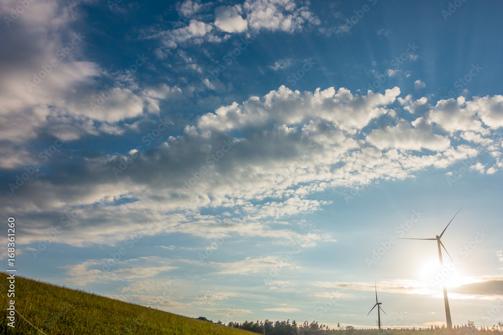 Obraz premium Windräder