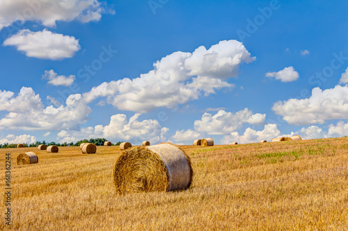 Straw bales on a field in summer
