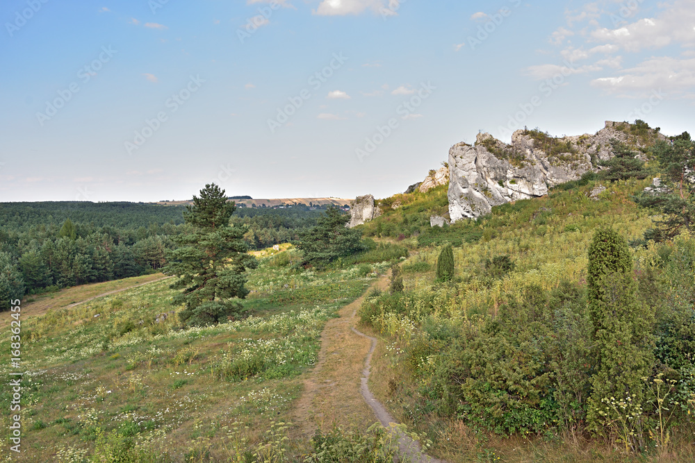 Jura Krakowsko-Częstochowska