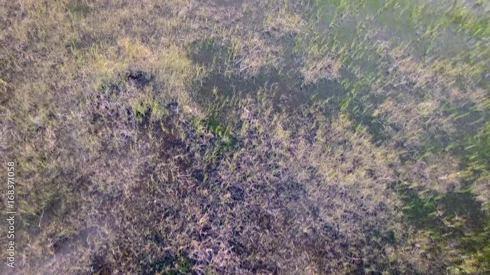 Aerial View of Marsh Aerial View of Marsh