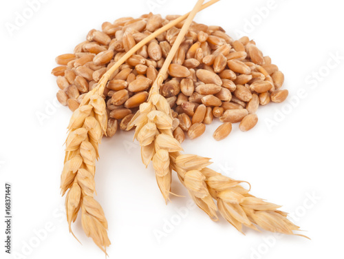Ears of wheat and wheat grains