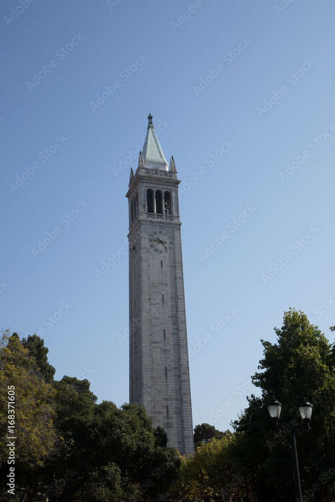tower with clock in blue sky with trees