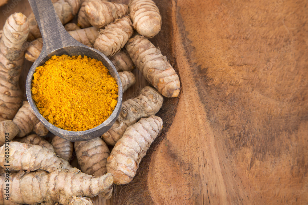 Roots and turmeric powder - Curcuma longa Roots and turmeric powder - Curcuma longa