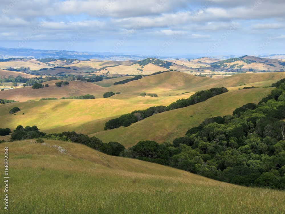 Sonoma county Sonoma county