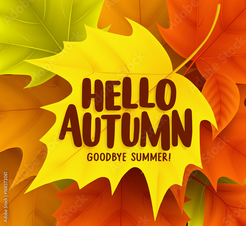 Hello autumn greetings vector design with yellow maple leaf and a background of colorful fall season leaves. Vector illustration.
