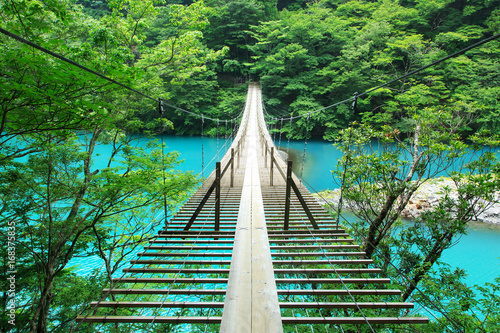 静岡、寸又峡の夢の吊り橋