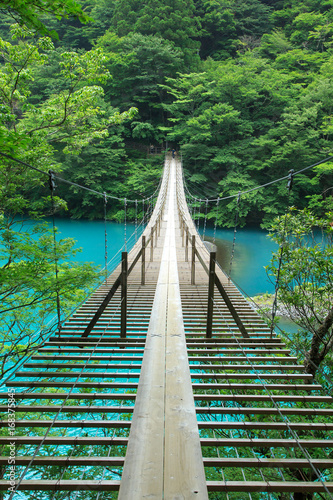 Fototapeta 静岡、寸又峡の夢の吊り橋