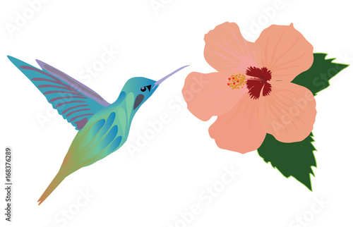 Vector hummingbird flower