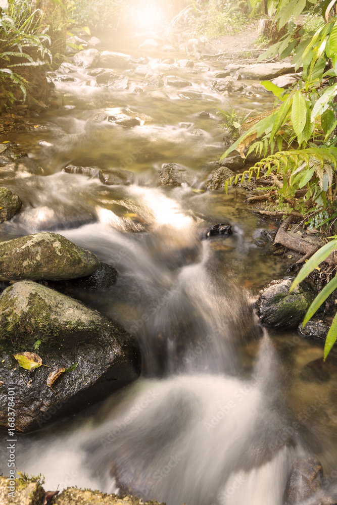 Water fallen from mountain view rock and forest Water fallen from mountain view rock and forest