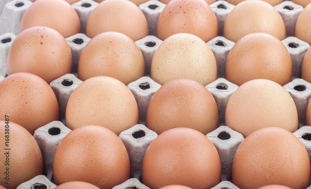 Fresh brown Chicken eggs in range. Fresh brown Chicken eggs in range.