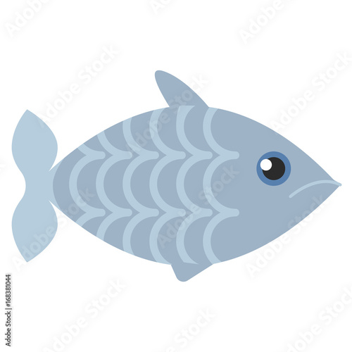 Fish wild animal flat icon