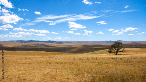 Monaro Grasslands wide open view