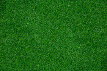green grass texture background