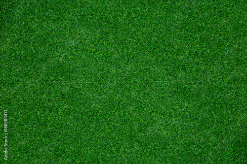 green grass texture background photo