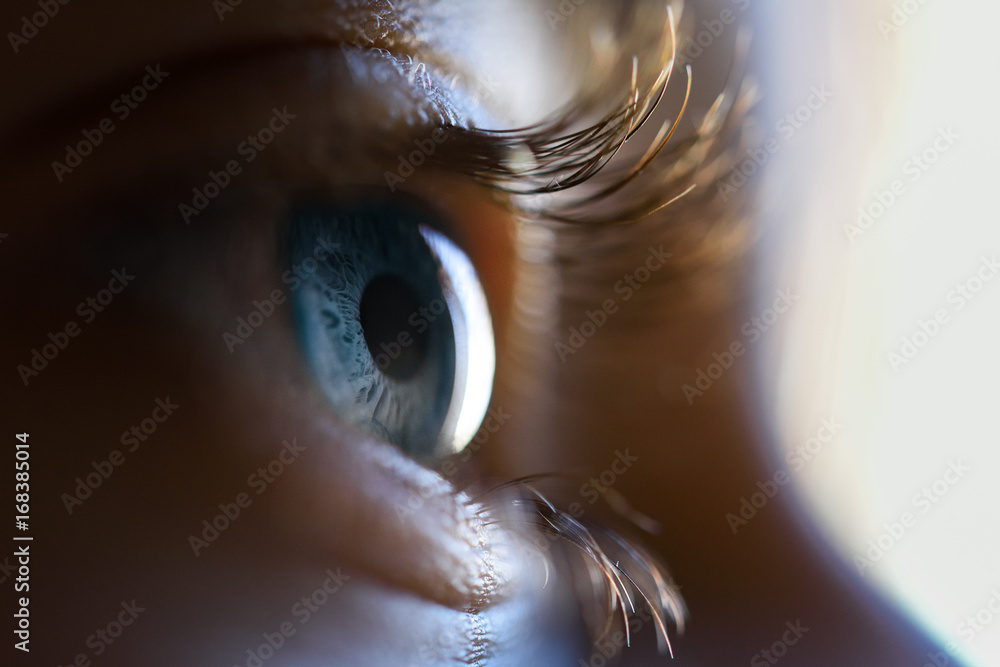 Fototapeta premium Zakończenie piękny małej dziewczynki niebieskie oko
